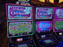 dolar138 slot featured game showcase